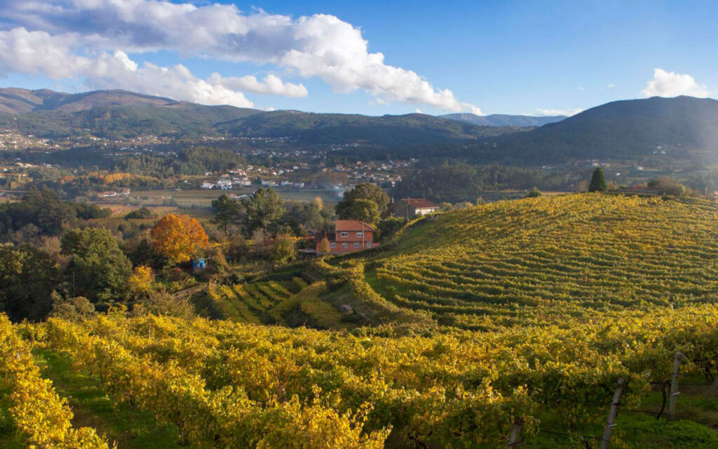 denominacion_de_origen_rias_baixas