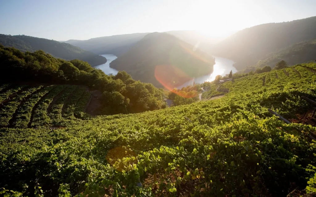 denominacion_de_origen_ribeira_sacra
